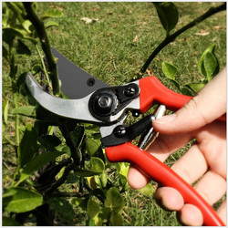 Kéo cắt tỉa cành cây đa năng bằng thép không gỉ KCTC.D01