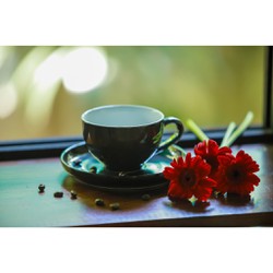 Tách Capuccino Sứ màu OHIO