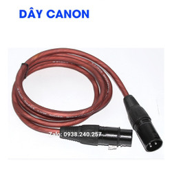 Dây Canon đực cái 1m R20