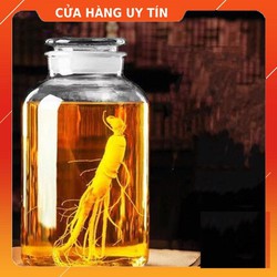 Bình ngâm rượu thủy tinh 20 lít nắp mài kín cao cấp