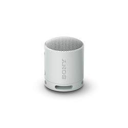 Loa Bluetooth Sony SRS-XB100 Extra Bass - Xám