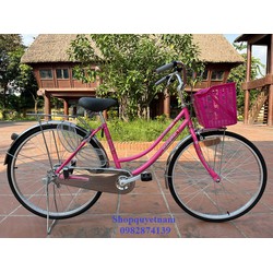 Xe đạp Wahama mini inox 26 inch 1 màu