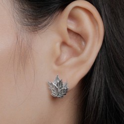 Bông Tai Nữ  Bạc 925 Xi Rhodium Hoa Trạng Nguyên NI2G002