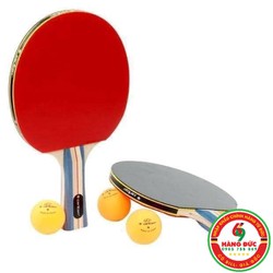 SET 2 VỢT BÓNG BÀN CHUYÊN NGHIỆP CARLTON - HANGDUC69