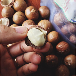quả mắc ca tây bắc 1kg