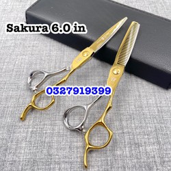 Kéo cắt tỉa tóc cao cấp Nhật Sakura 6.0 in ( vàng )