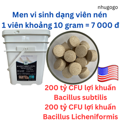 2 viên vi sinh cá cảnh (khoảng 10 gram), dạng viên nén, vi sinh làm trong nước bể cá, vi sinh đậm đặc