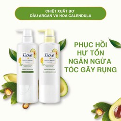Chính hãng Combo gội xả Dove phục hồi hư tổn chiết xuất Bơ & Dầu Argan Botanical Selection 500gr/chai