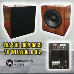 Loa SUB Điện BASS 30 Kiểu Dáng WEEWORLD B12 - Công suất 500W