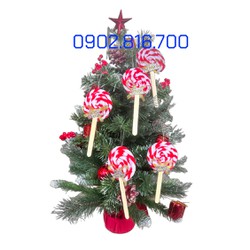 [Ảnh thật]  MÔ HÌNH 5 CÂY KẸO CANDY NOEL PHỤ KIỆN DECOR TRANG TRÍ NOEL GIÁNG SINH