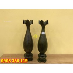 Lục bình đổi màu cao 50cm