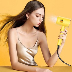 Máy sấy tóc con vịt - Máy sấy tóc vịt vang