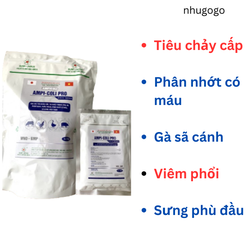 Ampi coli pro sumi qui cách 100 gram gà khò, gà phân trắng