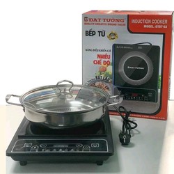 Bếp từ Đạt Tường