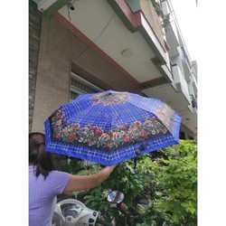 Dù bấm 2 chiều - Ô dù tự động