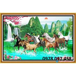 Tranh 8 chú ngựa đẹp
