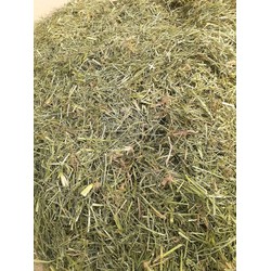 1kg Cỏ Mầm Trầu phơi khô hàng mới