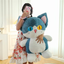 Mèo cá mập 2 mắt màu đứng mũm mĩm sở hữu vẻ ngoại hình độc đáo