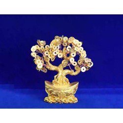 Cây phát tài - Cây phát lộc