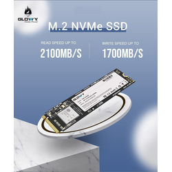 Ổ cứng SSD M.2 PCIe 256G GLOWAY Chính hãng