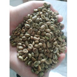 Việt Thiên_Cafe nhân xanh Robusta S16 Clean_1kg_Nhà mays sản xuất, chế biến cafe nhân xanh