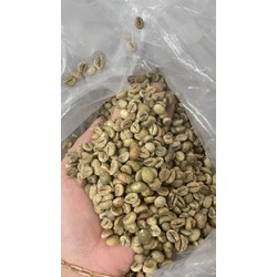 Việt Thiên_Cafe nhân xanh Robusta S18 Clean_1kg_Nhà máy chế biến, sản xuất cafe