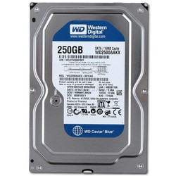 Ổ cứng máy tính HDD PC WD 250GB - 500GB BLUE (Renew)