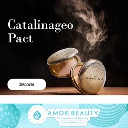 Chính hãng Phấn phủ Catalinageo Golden Pact Geo Lamy Màu Vàng 22g
