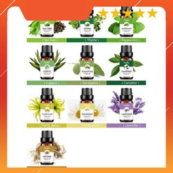 Tinh Dầu Thiên Nhiên Nguyên Chất (Tự Chọn 34 Mùi) - Hàng nhập khẩu