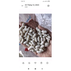 Đậu trắng to, 0.5kg mới thu hoạch