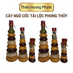 Cây ngũ cốc tài lộc no đủ 1 lọ