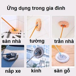 cây lau trần nhà hoa hướng dương