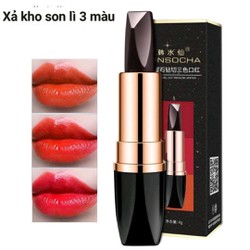 Combo 10 cây son lì