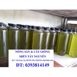 MẬT ONG HOA BẠC HÀ  (MỚI)100% NGUYÊN CHẤT [ CHAI LỚN 1,3 KG TƯƠNG ĐƯƠNG 1,5 LÍT ]. HSD 2 NĂM [ VNPOST ]