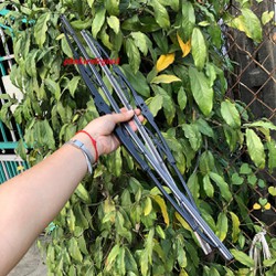 Set 2 Cần Gạt Mưa Kính Trước Mitsubishi Grandis 22 và 28inch hàng OEM