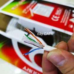 Thùng / Cuộn dây mạng Cat6 UTP LBLINK / GIPCO / NASUN cuộn 8 lõi ( 305m ) 2 màu trắng / xanh có lõi chịu lực bằng nhựa trong chạy trong nhà, ngoài trời
