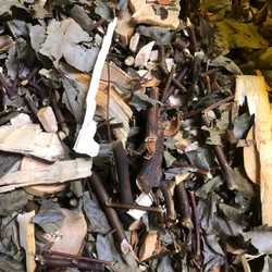 cây long não thân lá khô 1kg