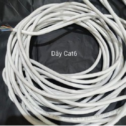 Dây mạng Cat6 Hàng Chuẩn Chính Hãng GIPCO bấm sẵn 2 đầu LAN, internet  ( 5m 10m 15m 20m )