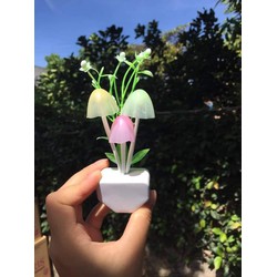 Đèn ngủ cảm ứng thông minh hình cây nấm