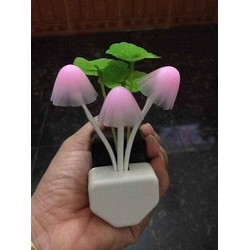 Đèn ngủ cảm ứng hình nấm