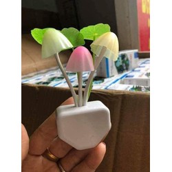 Đèn ngủ cảm ứng