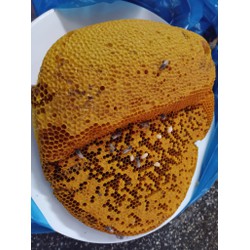 Mật ong ruồi nguyên chất hủ 1kg nguyên sáp - Kon Tum đẹp da, tốt dạ dày