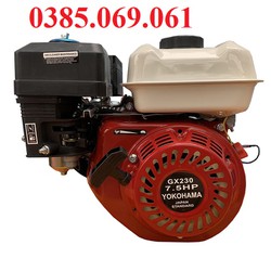 [FreeShip] Động Cơ Xăng 7.5HP Yokohama GX230-Zen Cá
