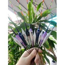 Phao đài điện đẹp đổi màu