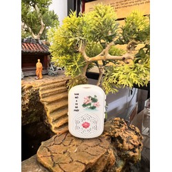 Máy Pháp Ngắn và Niệm Phật Thầy Thích Nhuận Đức, Mini Hoa
