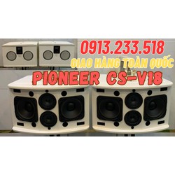 Đôi loa Karaoke, nghe nhạc đều hay Pio.neer V18 CS 400W