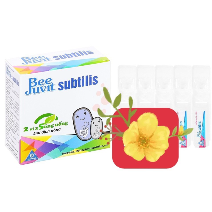 Hình ảnh Men vi sinh Beejuvit Subtilis Cung cấp bào tử vi khuẩn có lợi cho đường ruột Bacillus Clausii ml vi