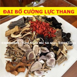 THANG ĐẠI BỔ CƯỜNG LỰC DL.