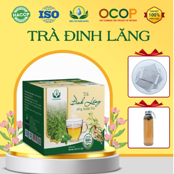 Trà đinh lăng hộp 30 Túi Lọc x 3Gram giúp giảm đau xương khớp, lợi sữa, tiêu viêm mát gan