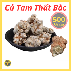 Củ Tam Thất Bắc Rừng thượng hạng khô 100 gram (6-8 củ)